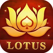 teen patti bhoomi customer care number download